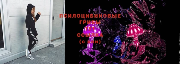 мяу мяу мука Аркадак