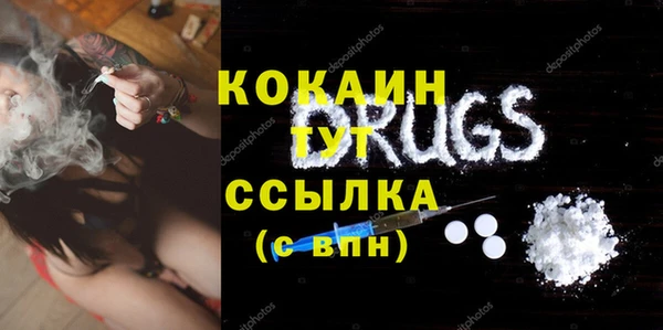 тгк Алексин