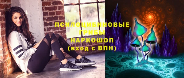 мяу мяу мука Аркадак