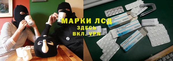 мяу мяу мука Аркадак