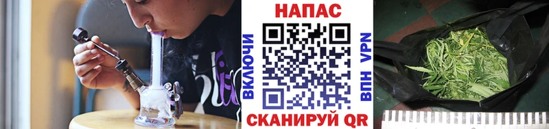 Конопля ГИДРОПОН  Обоянь 